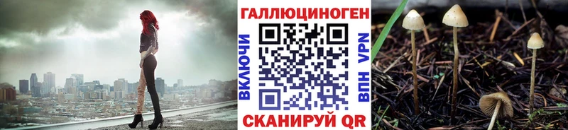 Псилоцибиновые грибы мицелий  что такое   Шадринск 